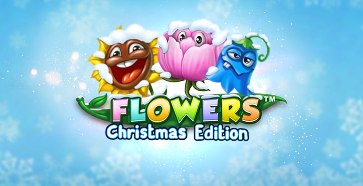 Flowers Christmas edition