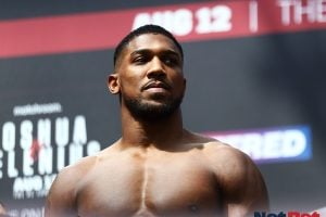 Anthony Joshua vs Otto Wallin